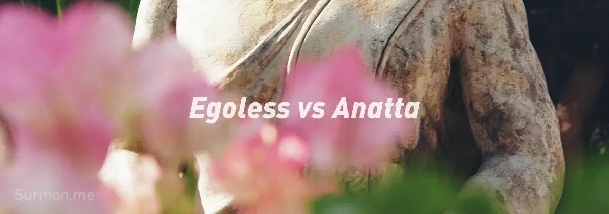 无我不是 Egoless