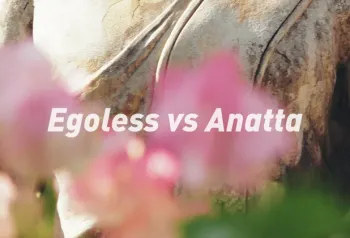 无我不是 Egoless