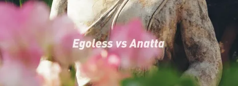 无我不是 Egoless