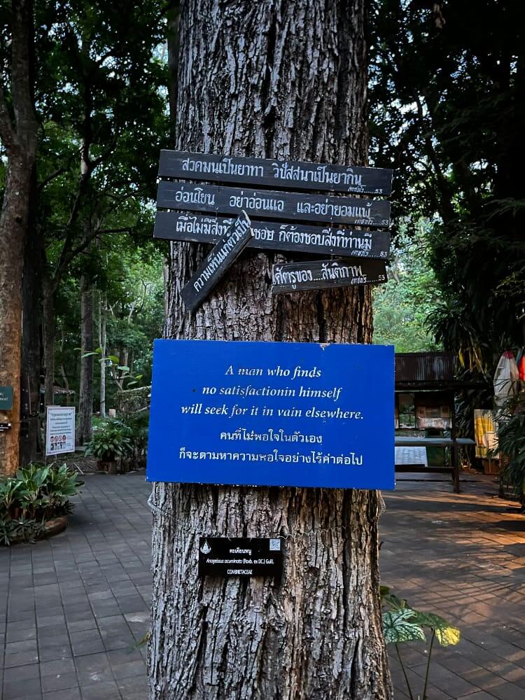 “觉知身心，超越自我，内观是心灵的启蒙。内观是觉察瞬息万变中恒久的自性。”