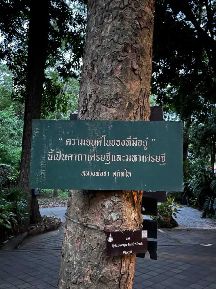 “应无所住，而生其心。”