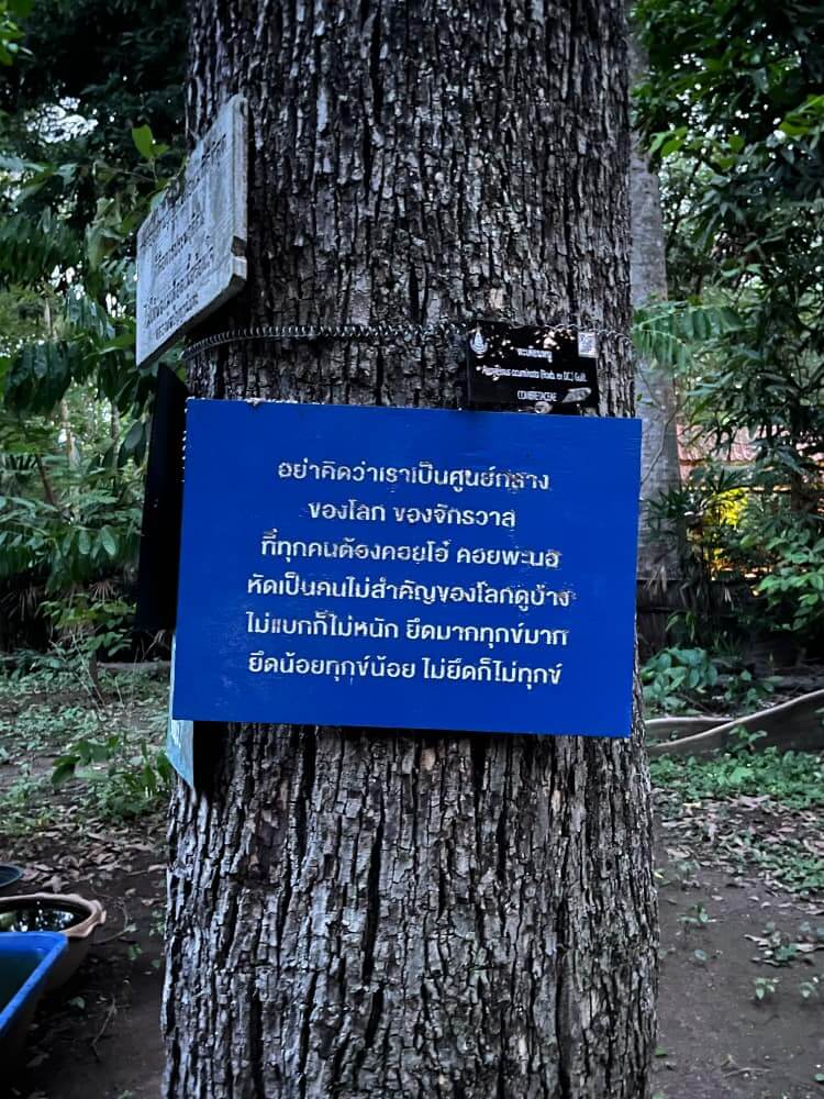 “无我相，无人相，无众生相，无寿者相。”